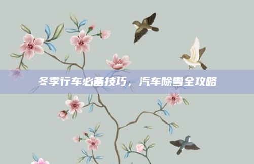 冬季行车必备技巧，汽车除雪全攻略