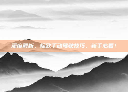 深度解析，标致手动驾驶技巧，新手必看！