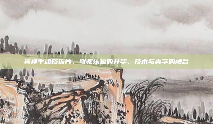 翼神手动挡拨片，驾驶乐趣的升华，技术与美学的融合