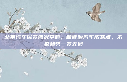 北京汽车展览盛况空前,新能源汽车成焦点,未来趋势一览无遗