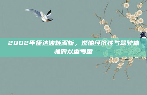 2002年捷达油耗解析，燃油经济性与驾驶体验的双重考量