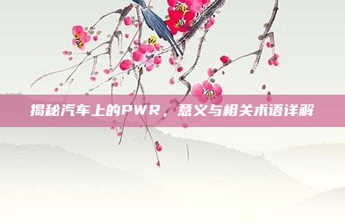 揭秘汽车上的PWR,意义与相关术语详解