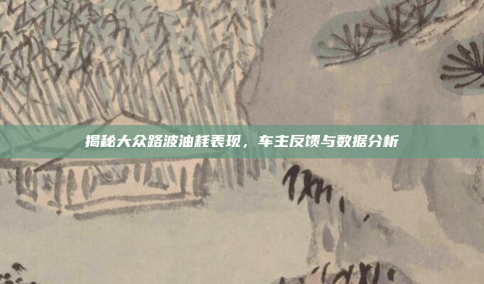 揭秘大众路波油耗表现，车主反馈与数据分析