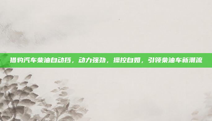 猎豹汽车柴油自动挡,动力强劲,操控自如,引领柴油车新潮流