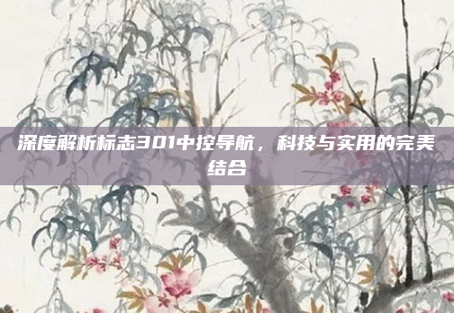 深度解析标志301中控导航,科技与实用的完美结合