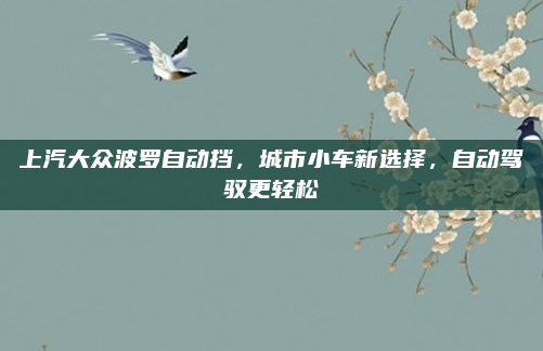 上汽大众波罗自动挡,城市小车新选择,自动驾驭更轻松