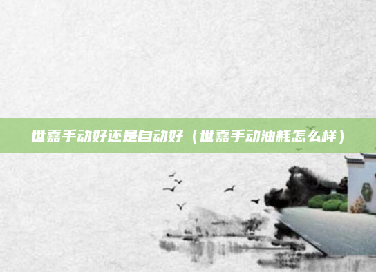 世嘉手动好还是自动好（世嘉手动油耗怎么样）