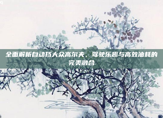 全面解析自动挡大众高尔夫，驾驶乐趣与高效油耗的完美融合
