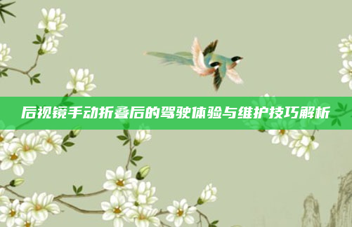 后视镜手动折叠后的驾驶体验与维护技巧解析