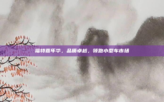 福特嘉年华，品质卓越，领跑小型车市场