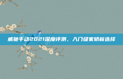 威驰手动2021深度评测,入门级家轿新选择
