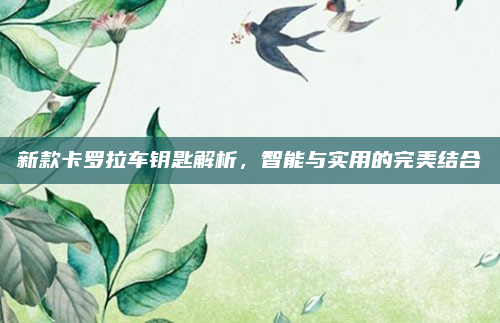 新款卡罗拉车钥匙解析，智能与实用的完美结合