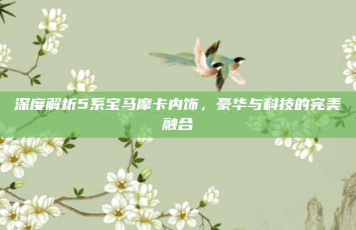 深度解析5系宝马摩卡内饰，豪华与科技的完美融合