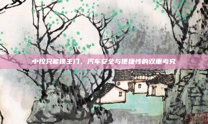 中控只能锁主门,汽车安全与便捷性的双重考究