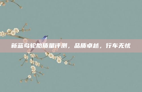 新蓝鸟轮胎质量评测，品质卓越，行车无忧