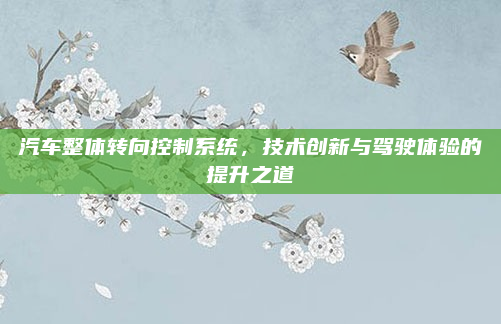 汽车整体转向控制系统，技术创新与驾驶体验的提升之道