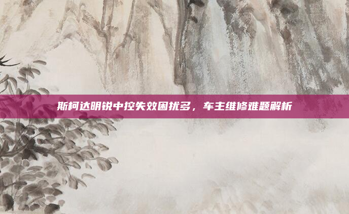 斯柯达明锐中控失效困扰多，车主维修难题解析