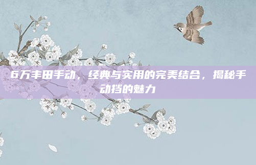 6万丰田手动，经典与实用的完美结合，揭秘手动挡的魅力