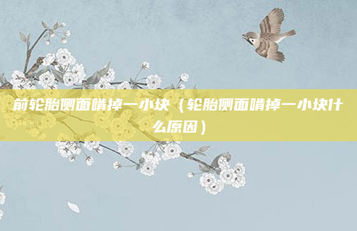 前轮胎侧面啃掉一小块（轮胎侧面啃掉一小块什么原因）