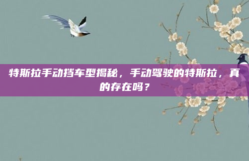 特斯拉手动挡车型揭秘,手动驾驶的特斯拉,真的存在吗?