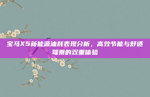 宝马X5新能源油耗表现分析，高效节能与舒适驾乘的双重体验