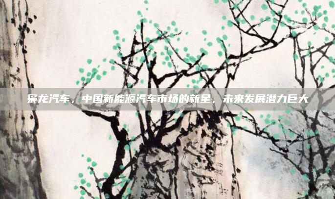 枭龙汽车，中国新能源汽车市场的新星，未来发展潜力巨大