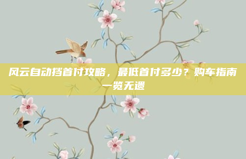 风云自动挡首付攻略，最低首付多少？购车指南一览无遗