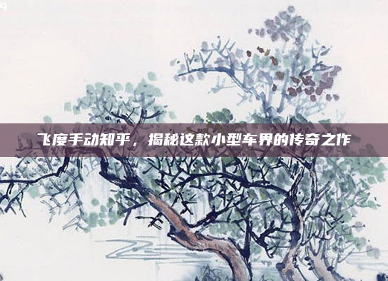 飞度手动知乎，揭秘这款小型车界的传奇之作