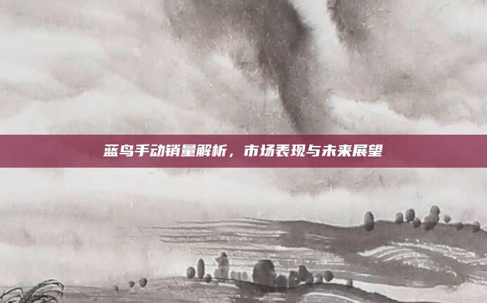 蓝鸟手动销量解析，市场表现与未来展望