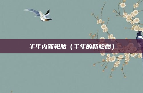 半年内新轮胎（半年的新轮胎）