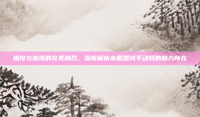 操控与激情的完美融合，深度解析本田思域手动挡的魅力所在
