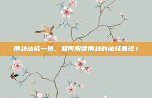 博越油耗一览，如何解读博越的油耗表现？
