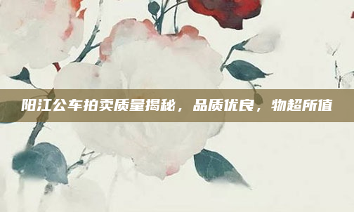 阳江公车拍卖质量揭秘，品质优良，物超所值