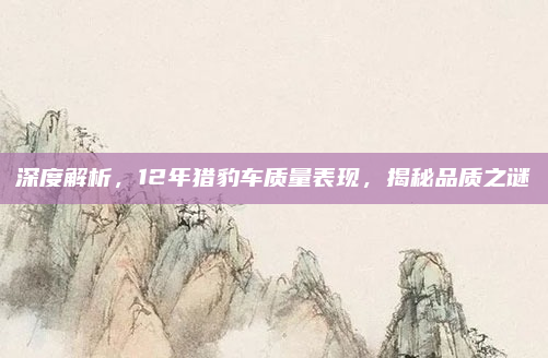 深度解析，12年猎豹车质量表现，揭秘品质之谜