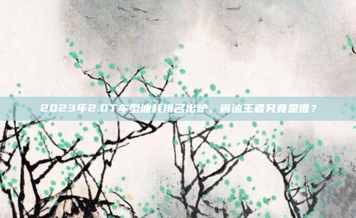 2023年2.0T车型油耗排名出炉，省油王者究竟是谁？