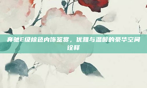 奔驰E级棕色内饰鉴赏，优雅与温馨的豪华空间诠释