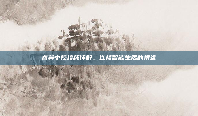 睿翼中控接线详解,连接智能生活的桥梁