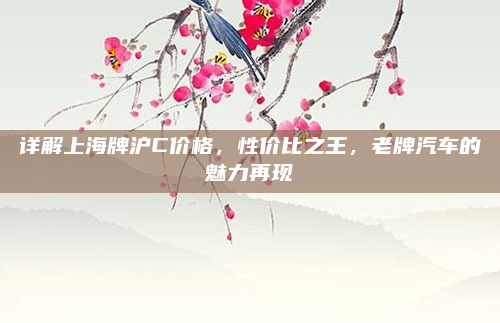 详解上海牌沪C价格，性价比之王，老牌汽车的魅力再现