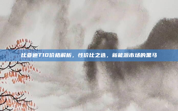 比亚迪T10价格解析,性价比之选,新能源市场的黑马