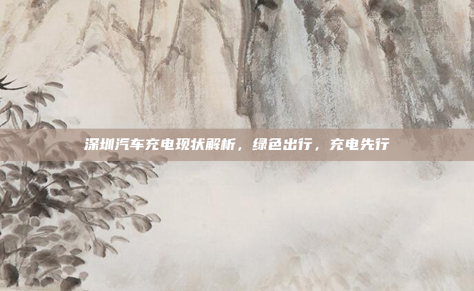 深圳汽车充电现状解析,绿色出行,充电先行