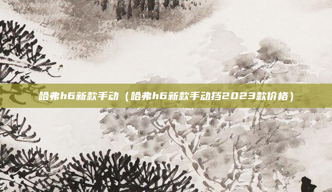 哈弗h6新款手动（哈弗h6新款手动挡2023款价格）