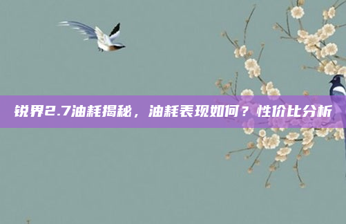 锐界2.7油耗揭秘，油耗表现如何？性价比分析