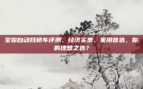 宝骏自动挡轿车评测,经济实惠,家用首选,你的理想之选?