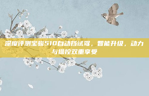 深度评测宝骏510自动挡试驾，智能升级，动力与操控双重享受