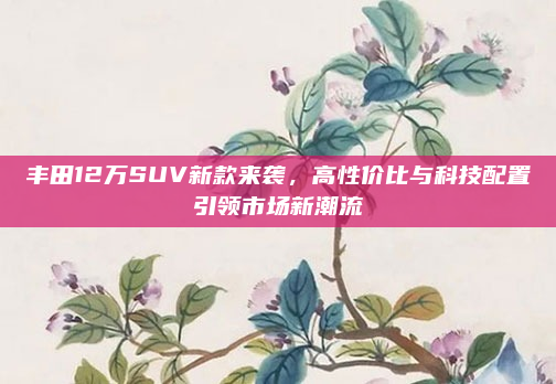 丰田12万SUV新款来袭,高性价比与科技配置引领市场新潮流