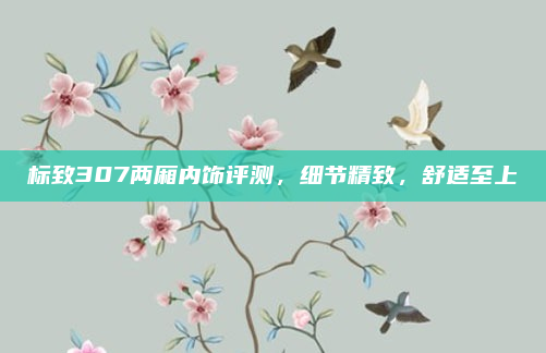 标致307两厢内饰评测,细节精致,舒适至上