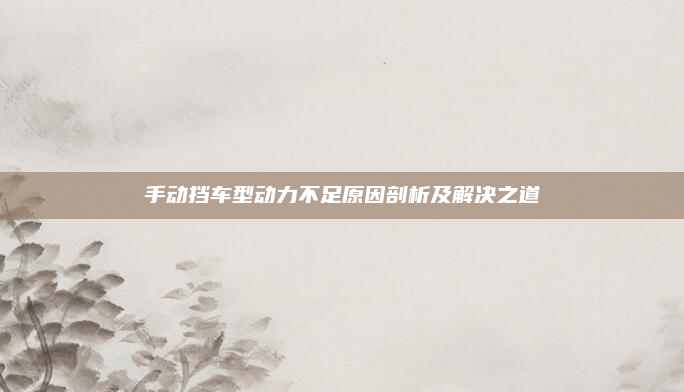 手动挡车型动力不足原因剖析及解决之道
