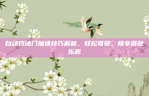 自动挡油门加速技巧解析,轻松驾驭,畅享驾驶乐趣