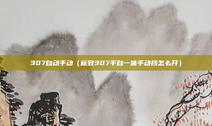 307自动手动（标致307手自一体手动挡怎么开）