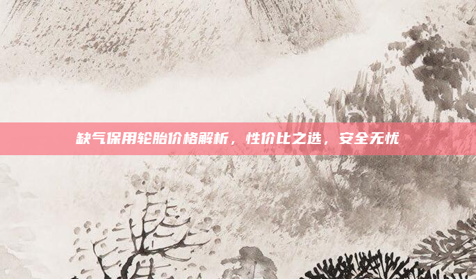 缺气保用轮胎价格解析，性价比之选，安全无忧
